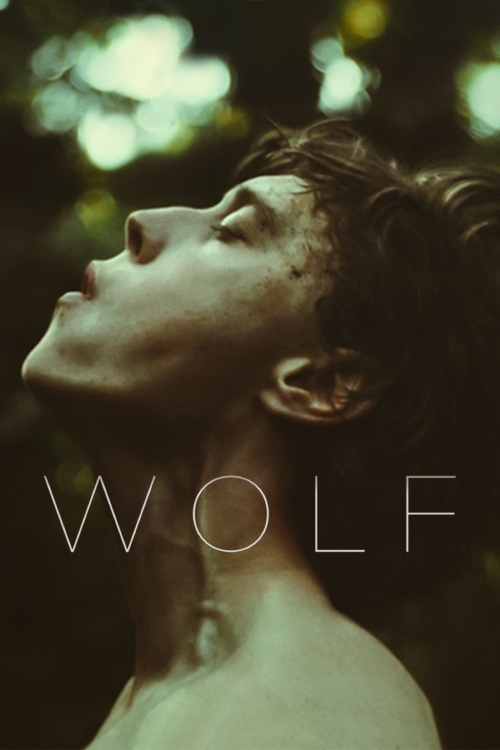 Ver Wolf (2021) online gratis, poster, sinopsis, tráiler, reparto y más