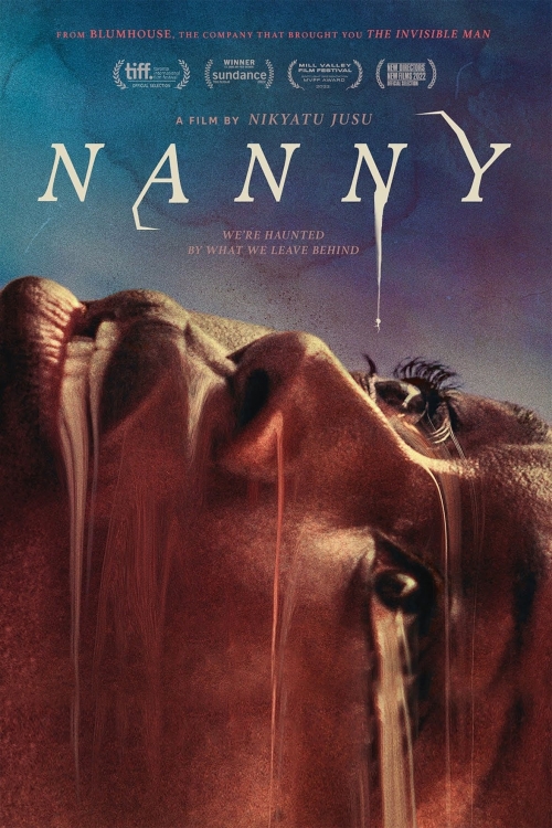 Ver Nanny (2022) online gratis, poster, sinopsis, tráiler, reparto y más
