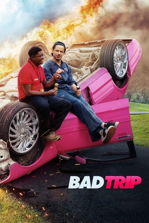 Ver Bad Trip (2021) online gratis, poster, sinopsis, tráiler, reparto y más