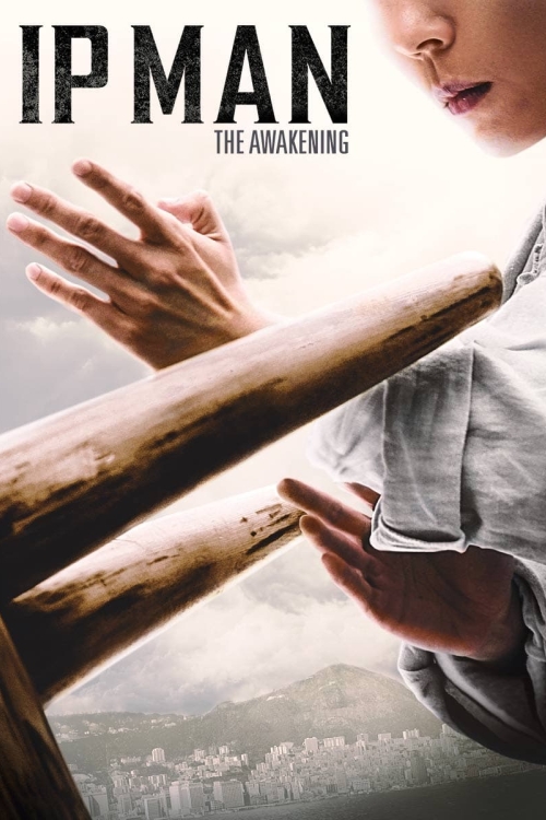 Ver Ip Man: The Awakening (2022) online gratis, poster, sinopsis, tráiler, reparto y más