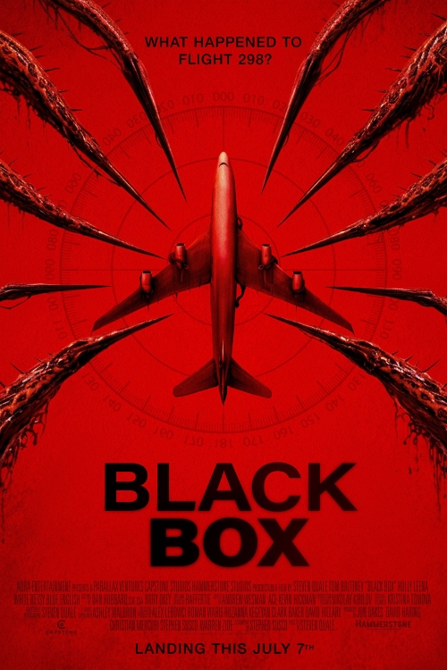 Ver Black Box (2026) online gratis, poster, sinopsis, tráiler, reparto y más