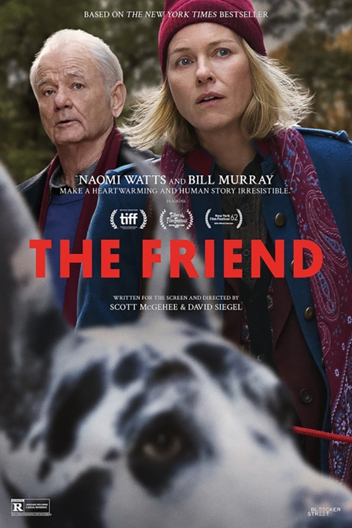 Ver The Friend (2025) online gratis, poster, sinopsis, tráiler, reparto y más