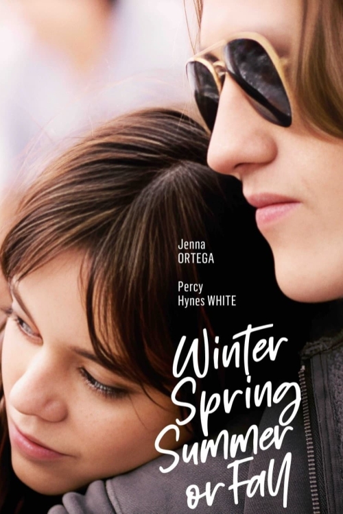 Ver Winter Spring Summer Or Fall (2024) online gratis, poster, sinopsis, tráiler, reparto y más