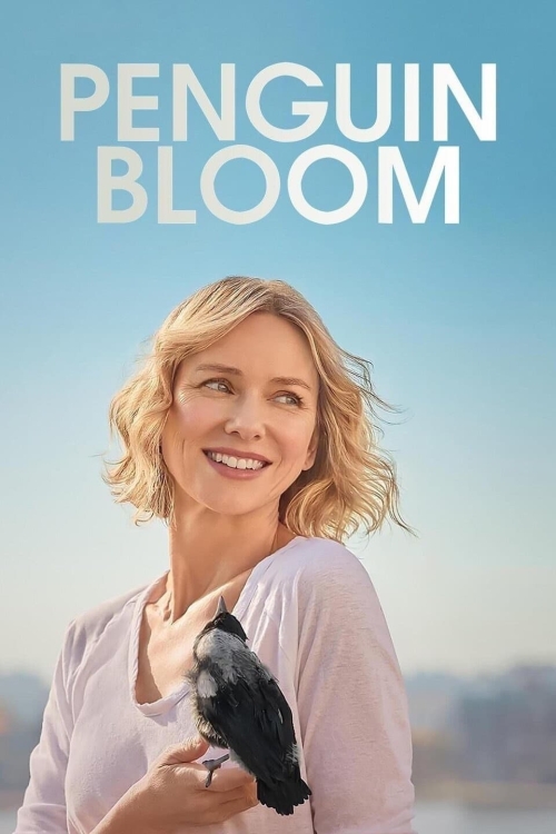 Ver Penguin Bloom (2021) online gratis, poster, sinopsis, tráiler, reparto y más
