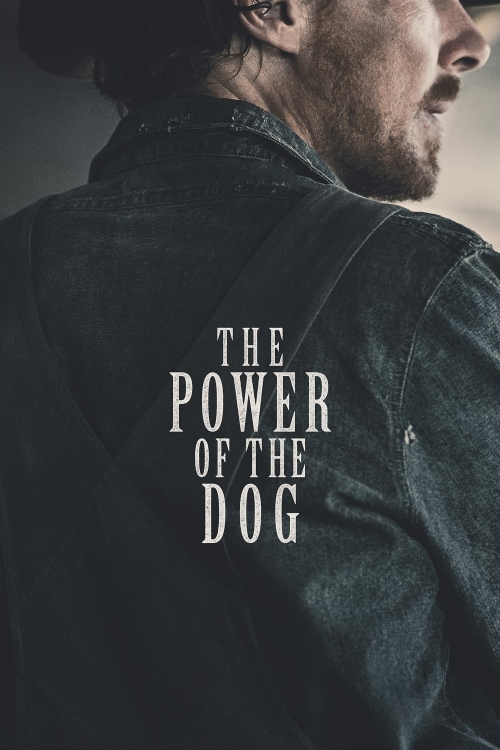 Ver The Power Of The Dog (2021) online gratis, poster, sinopsis, tráiler, reparto y más