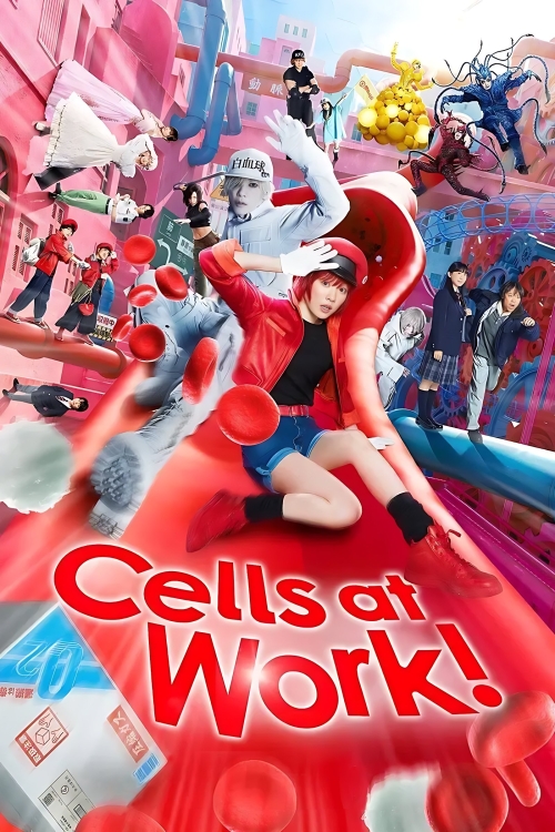 Ver Cells At Work! (2024) online gratis, poster, sinopsis, tráiler, reparto y más