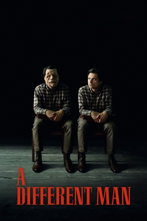 Ver A Different Man (2024) online gratis, poster, sinopsis, tráiler, reparto y más