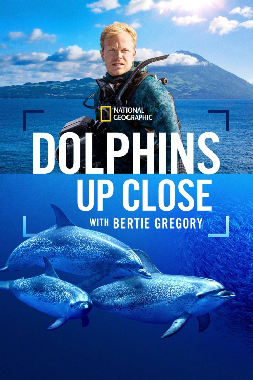 Ver Dolphins Up Close With Bertie Gregory (2025) online gratis, poster, sinopsis, tráiler, reparto y más