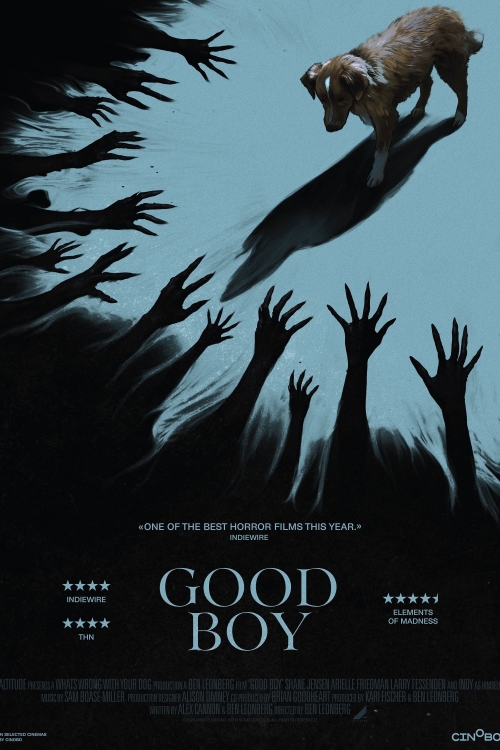 Ver Good Boy (2025) online gratis, poster, sinopsis, tráiler, reparto y más