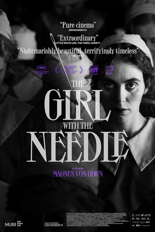 Ver The Girl With The Needle (2024) online gratis, poster, sinopsis, tráiler, reparto y más