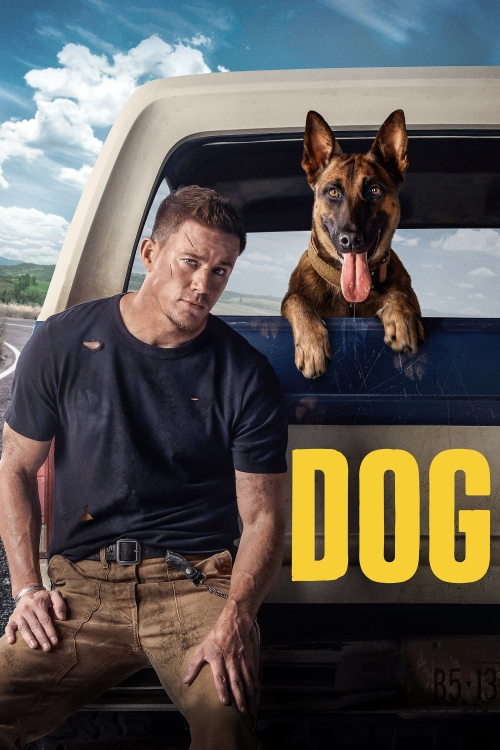 Ver Dog (2022) online gratis, poster, sinopsis, tráiler, reparto y más